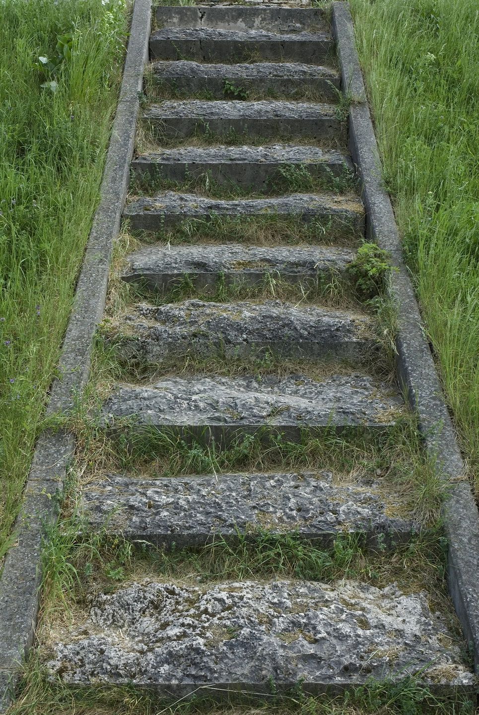 Mossy concrete steps surrounded by tall grass